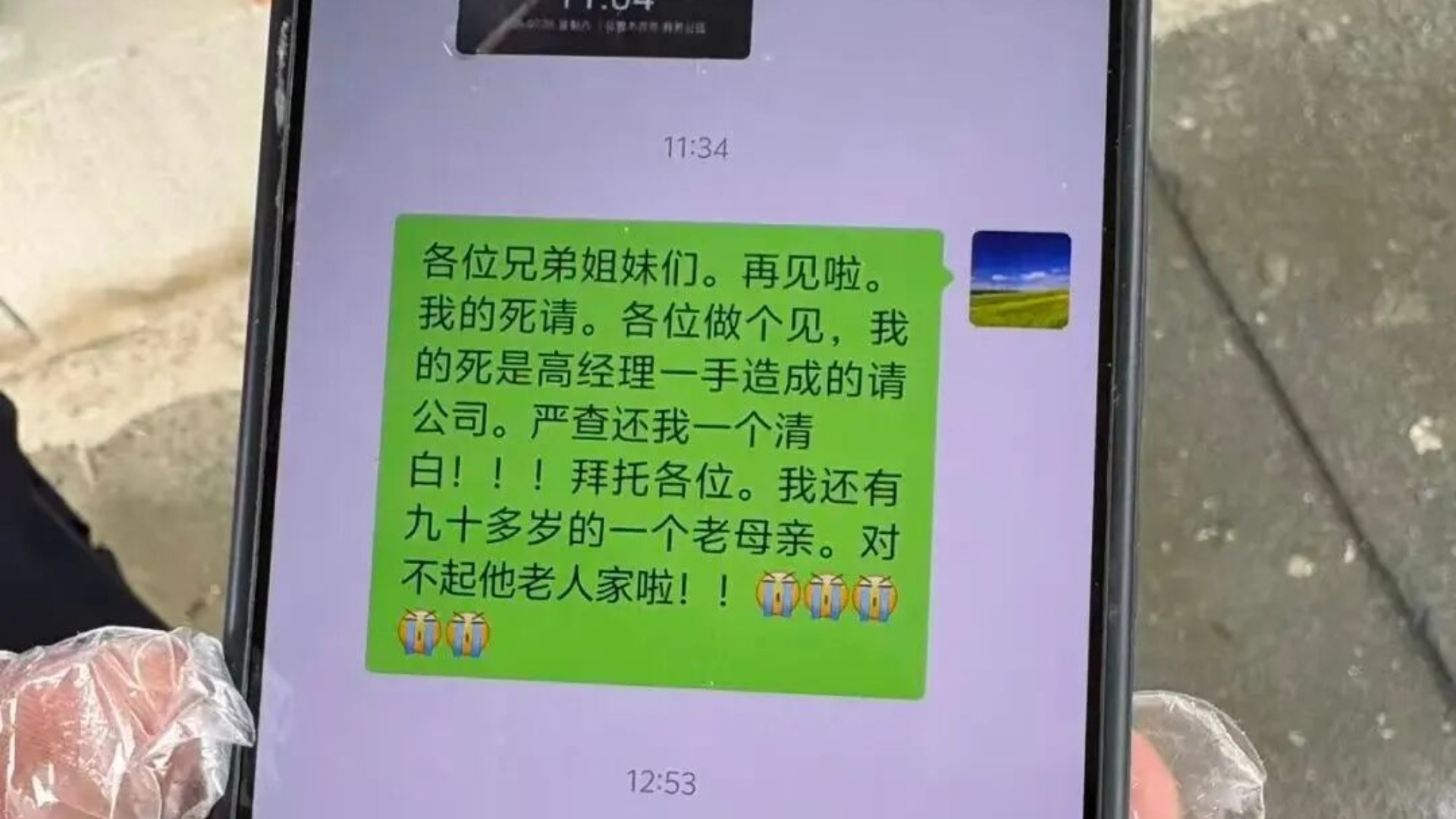 冷漠的同事们：比猪狗不如更令人愤怒的是什么？