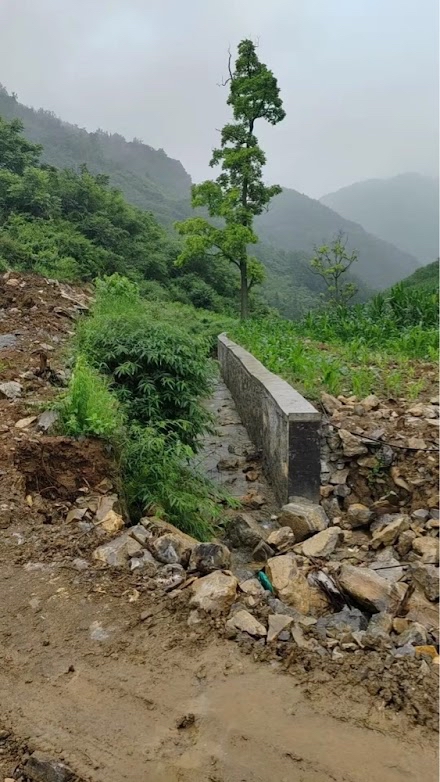 事发现场高坎路段
