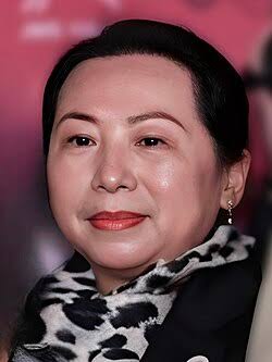 2445万元从中国进入台湾政治网络:许春莺被判7年,法院判决揭开统战资金的司法证据链