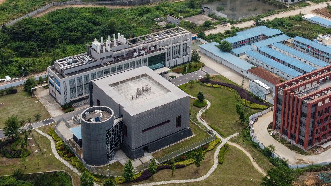 图|武汉病毒研究所实验区