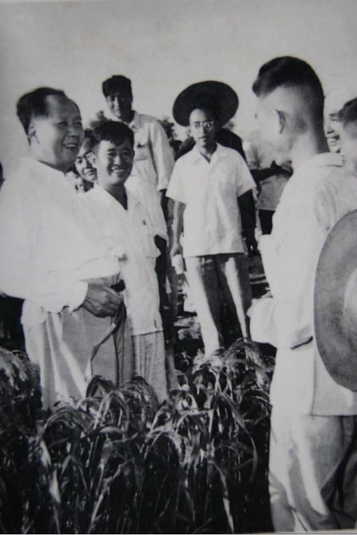1958年8月4日,毛泽东视察徐水县|来源:Wikimedia Commons;CC0