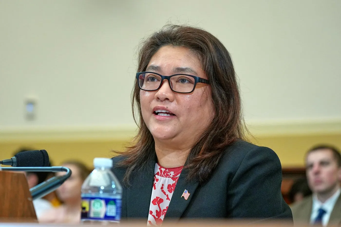 Min Zin妻子Sylvia Zin于2026年9月16日在美国国会听证会上作证｜来源：Associated Press / iNFOnews.ca
