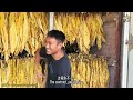 云南烟农在烟叶收购站附近集会抗议｜来源：Yesterday / YouTube