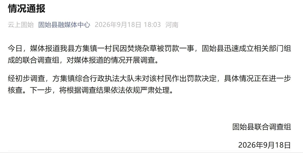 烧一平米杂草被“口头罚500元”:基层执法的荒唐闹剧