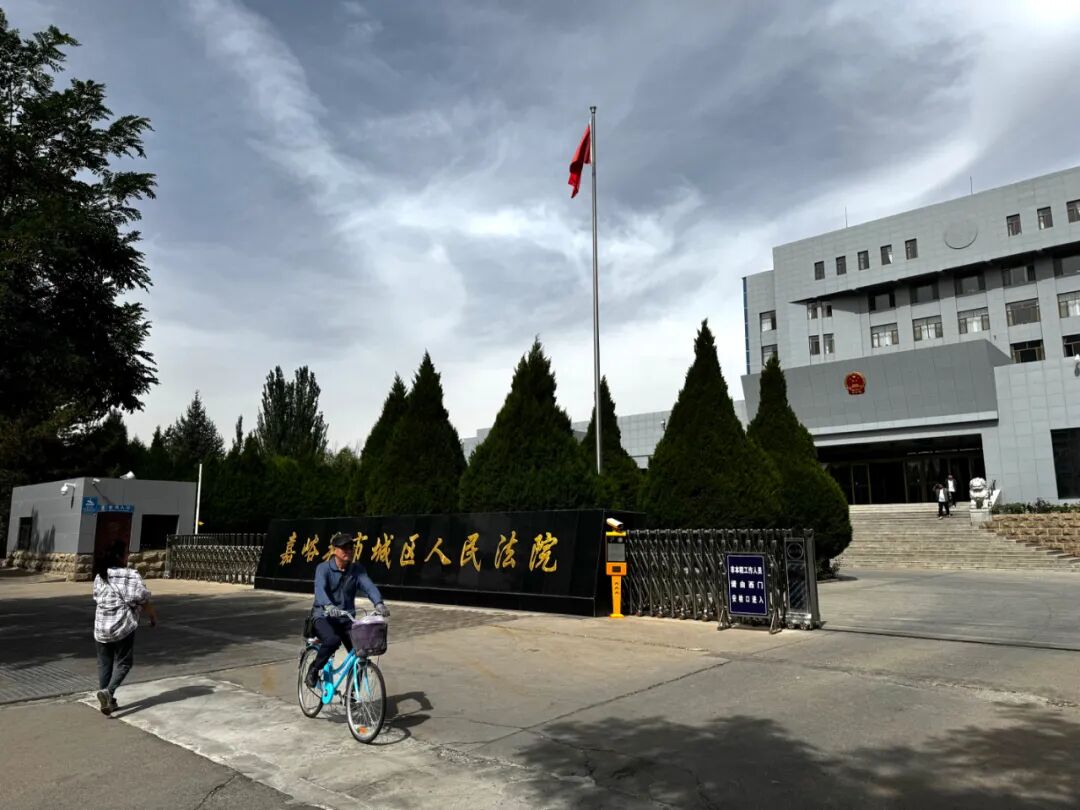 嘉峪关市政府与一特公司的合同诈骗案引发巨大争议，专家认为本质是经济纠纷而非诈骗。